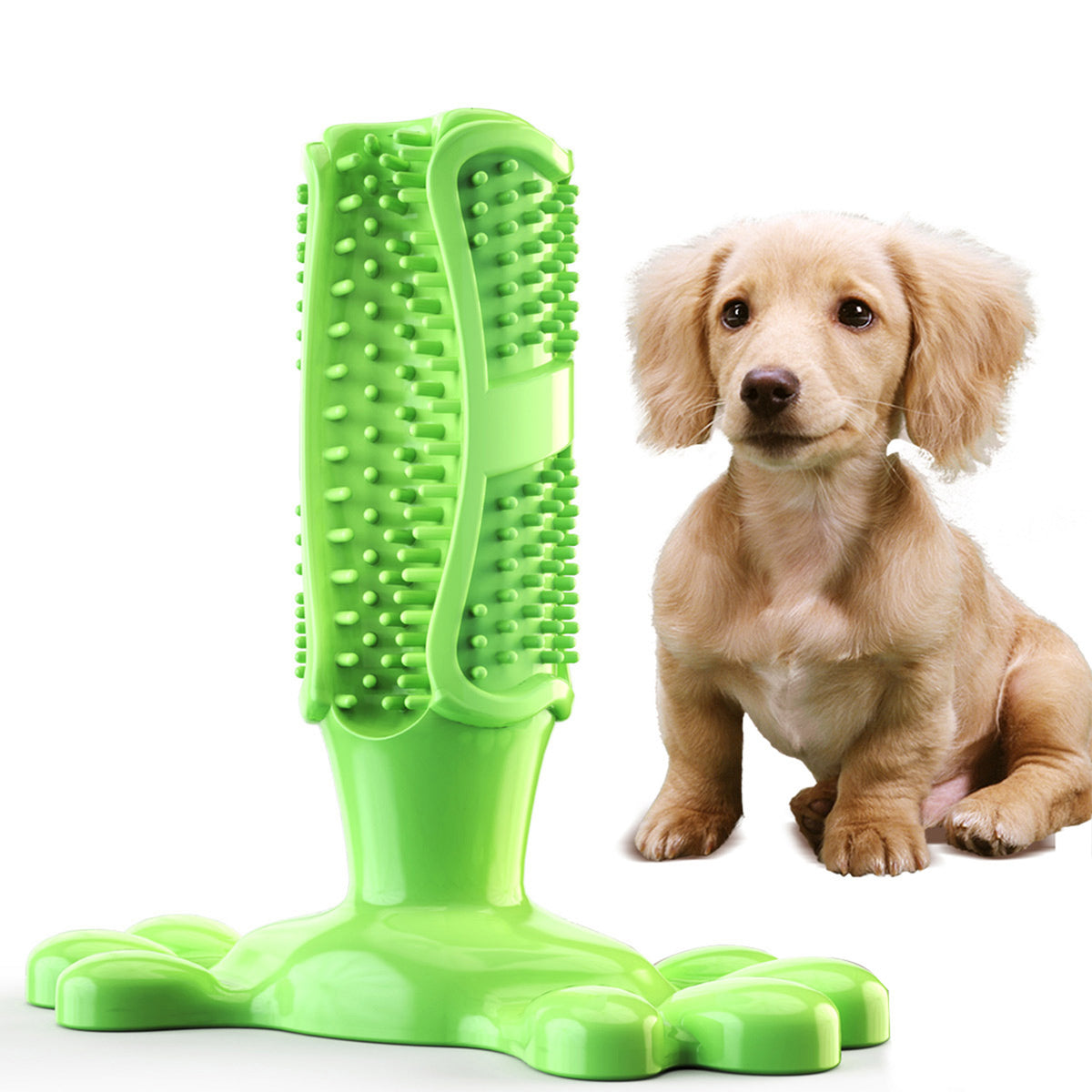 Toothbrush chew clearance toy for dogs