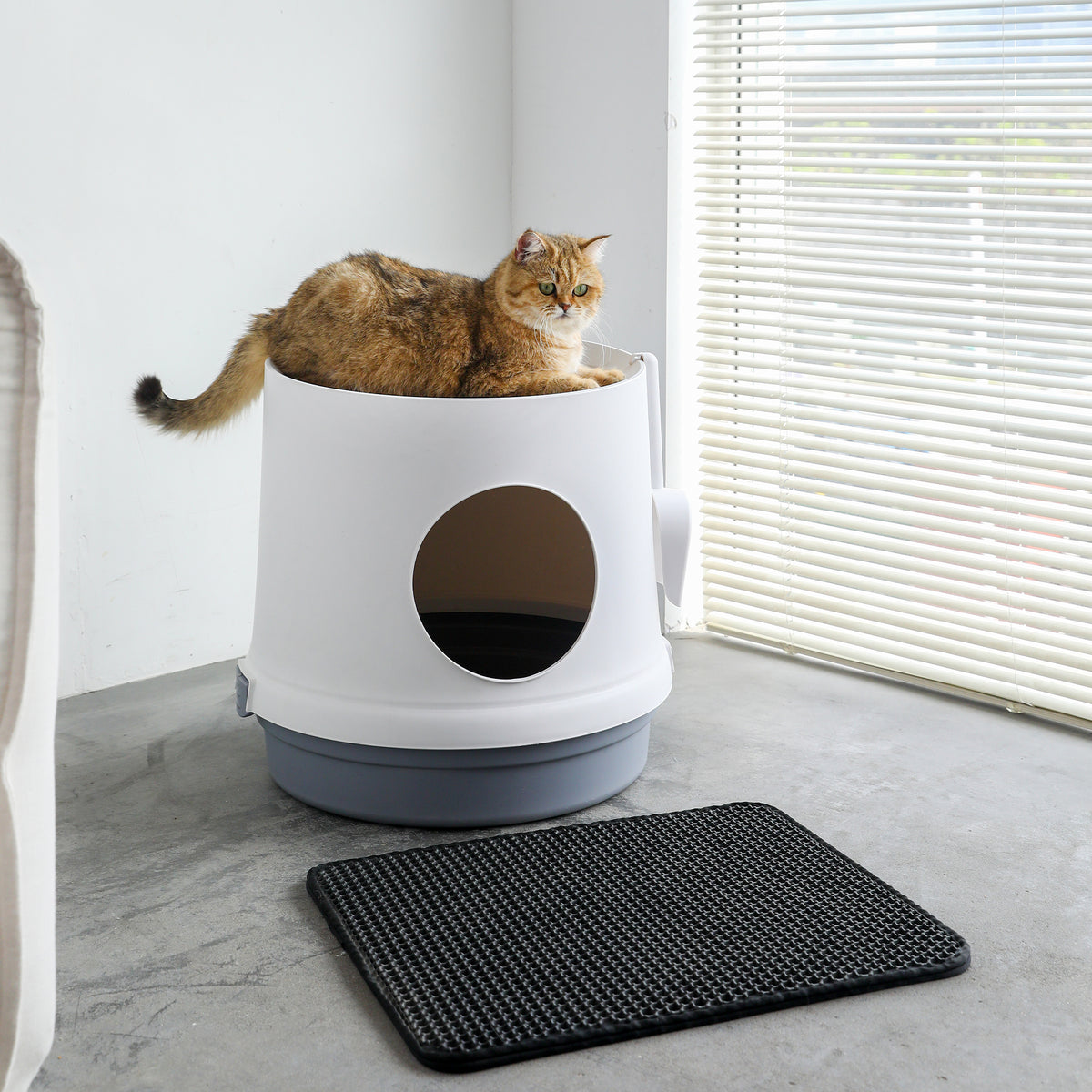 Meowy Studio Loo Cat Litter Box All in One Cover Litter Filter Plate Scoop and Holder in Aspen White