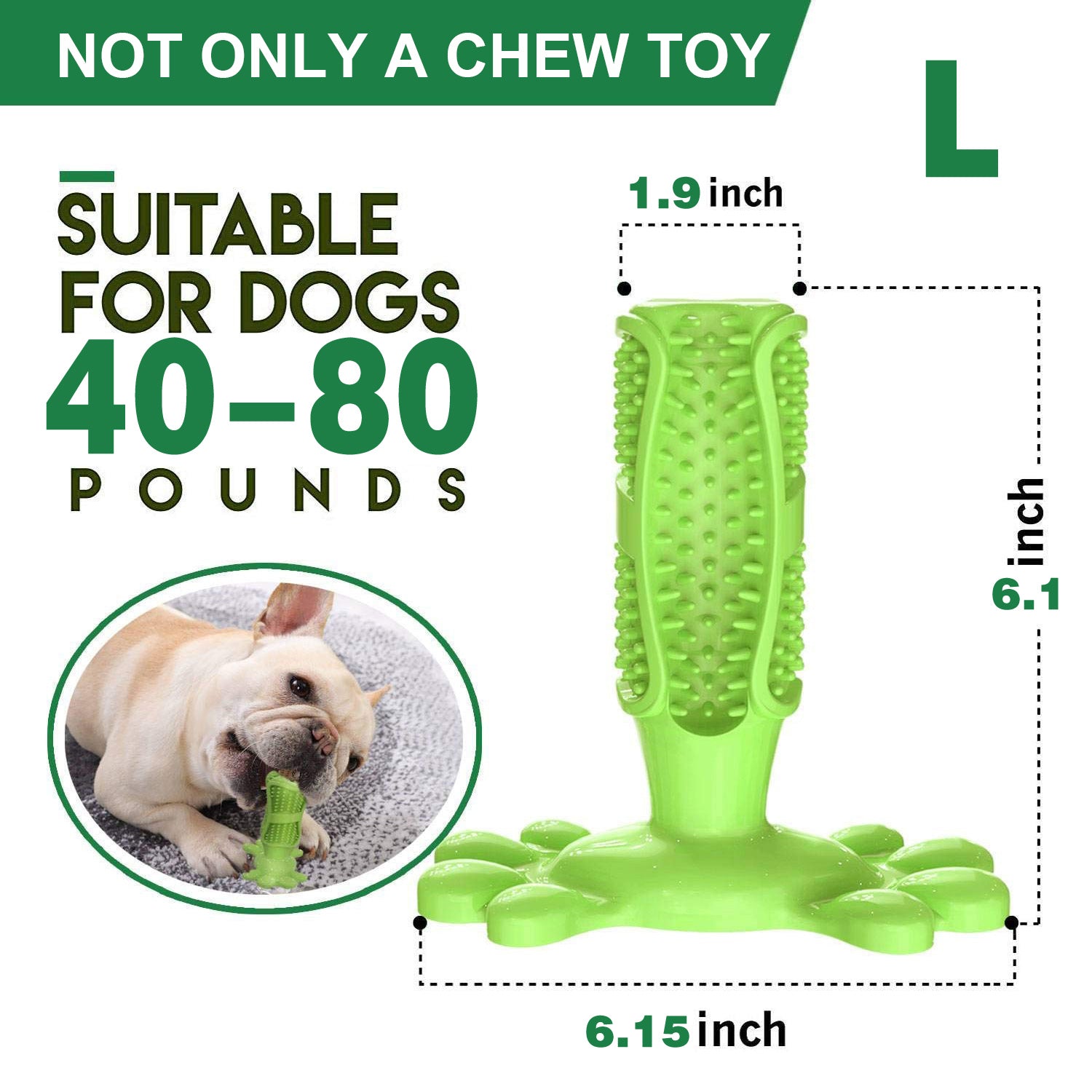 Standing clearance dog toothbrush