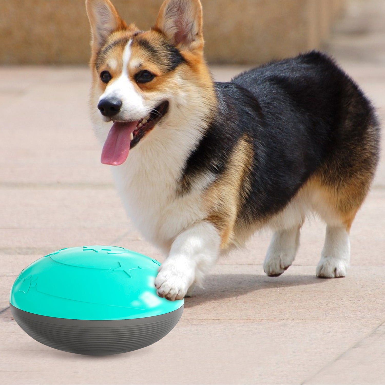 OnlinePetToys™- Squeaky Food Dispensing Dog Toy