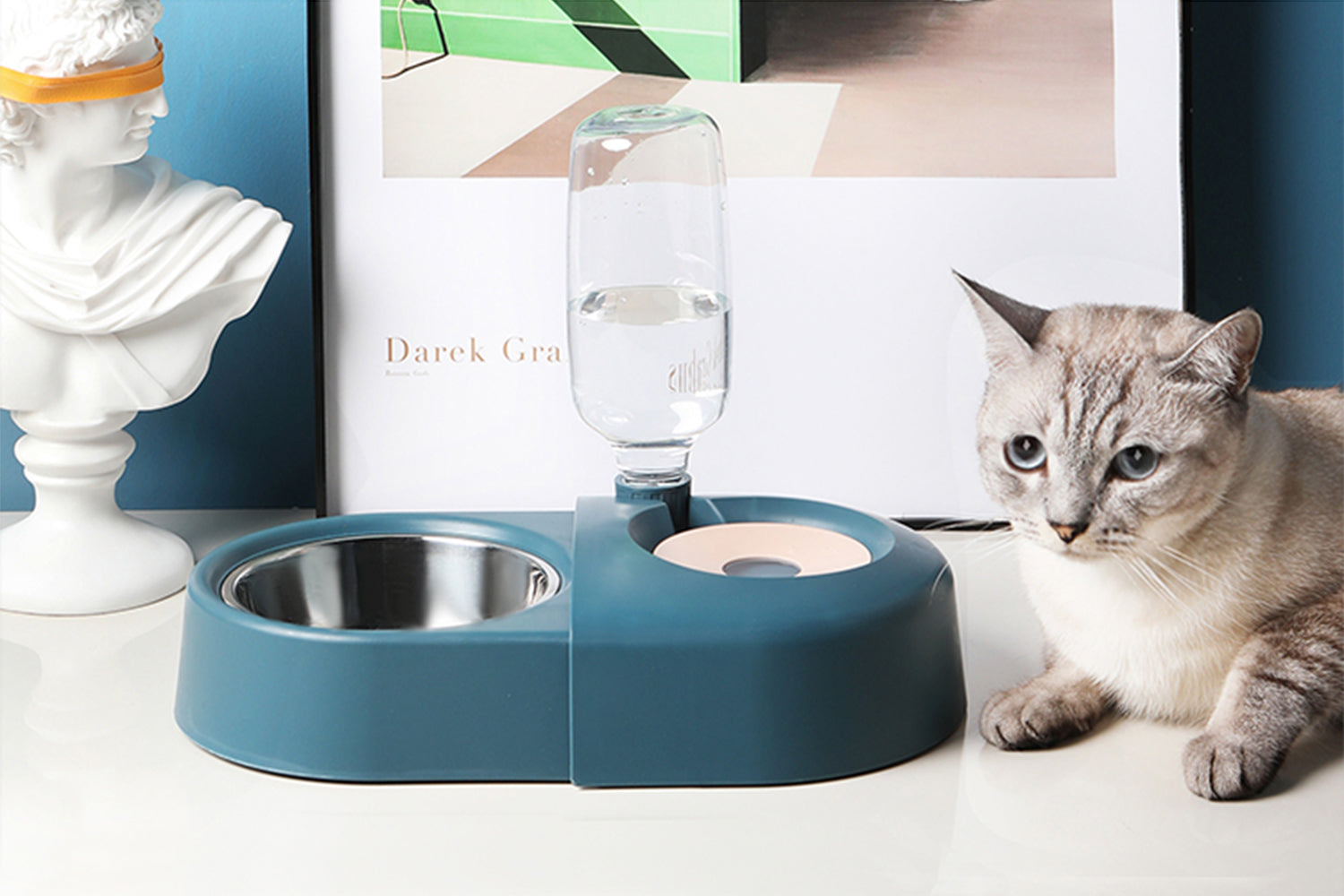 Automatic water outlet feeder for cats