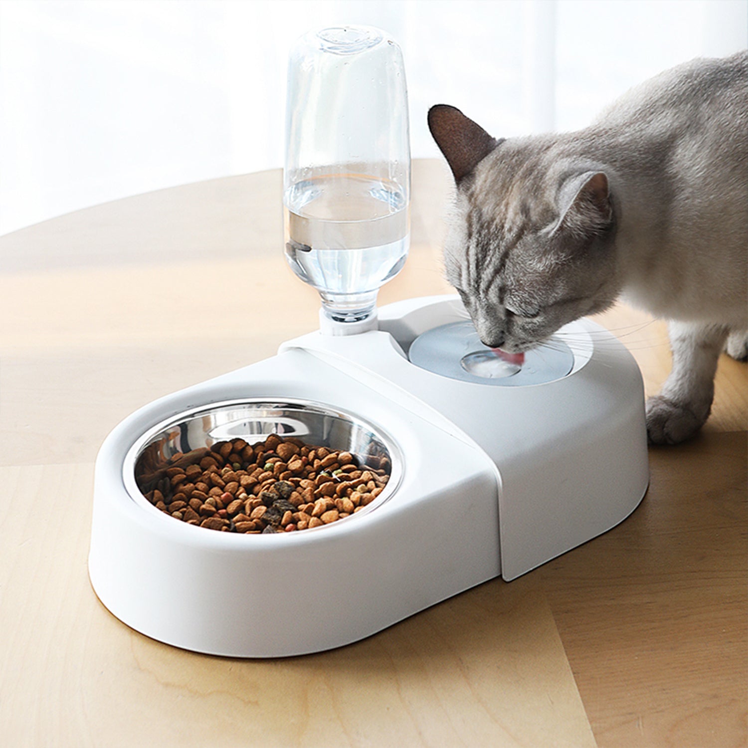 AquaFeed - All-in-One Cat Feeder and Hydrator –